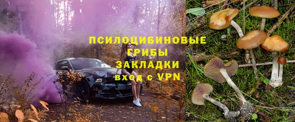 стаф Беломорск