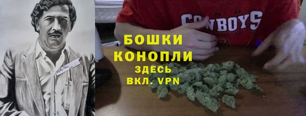 PSILOCYBIN Белоозёрский