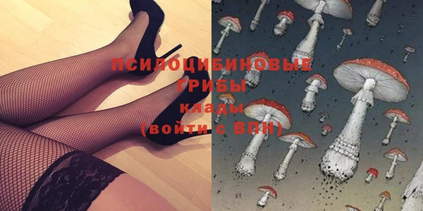 PSILOCYBIN Белоозёрский