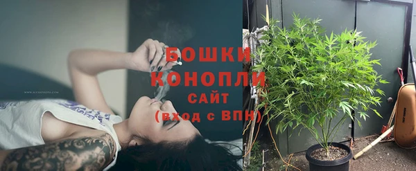 PSILOCYBIN Белоозёрский
